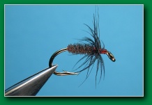 black_gnat