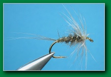 blue_dun_hackle