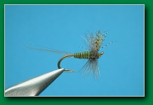 bwo_quill_body_dun