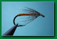 partridge_spider