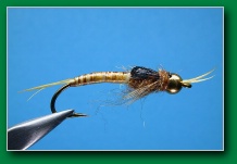 biot_golden_stonefly_nymph