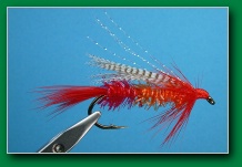kck_orange_red_butt
