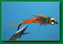 stonefly_orange