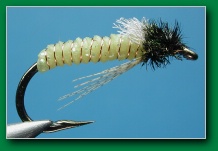 bright_green_caddis_worm