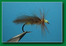 cdc_willow_green_sedge