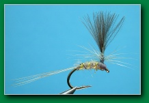 grey_parachute