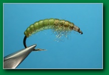 hydropsyche_spectra_dubbing