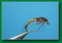 baetis_clinger_nymph