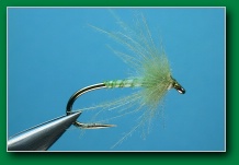 hydro_caddis_pupa_flymph