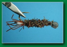 peeping_caddis