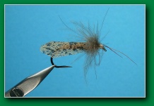 web_wing_sedge