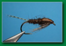 le_ephemerella_nymph