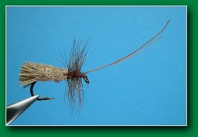 goddard_caddis