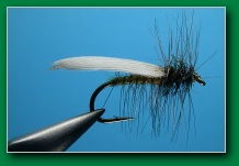 hemingway_caddis