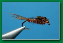 sawyer_pt_nymph