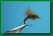 bwo_breakout_emerger