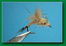 march_brown_breakout_emerger