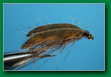 squirrel_caddis