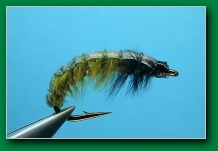 caddis_larva