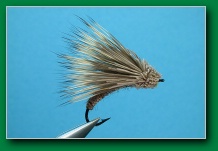 streaking_caddis