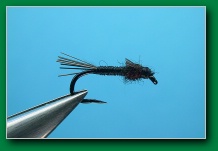 black_barr_emerger