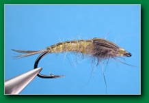 bwo_nymph