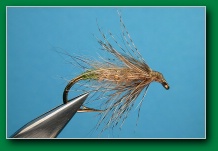 diving_caddis