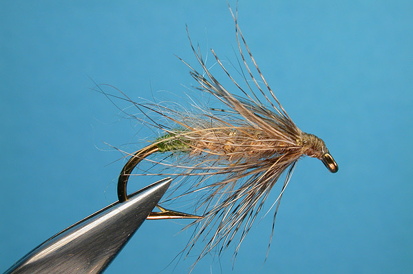 diving caddis fly pattern