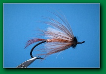 cdc_steelhead_white