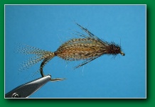 henrys_lake_caddis