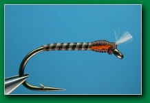 peacock_quill_buzzer