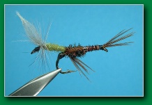 sweeper_bwo_emerger