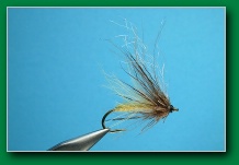 cdc_caddis_emerger