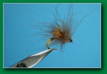 cdc_female_caddis