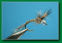 bubble_boy_emerger