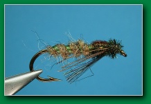chans_stillwater_caddis_pupa