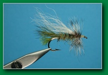 double_wing