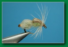 little_olive_teardrop_emerger