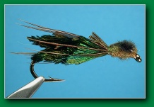 peacock_dragon