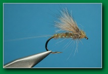 pmd_hairwing_dun