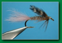 timberline_emerger