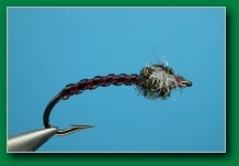 v-rib_chironomid