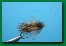 deer_hair_sedge_1