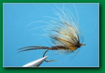 mayfly_emerger_2