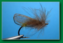 cdc_wonderwing_caddis