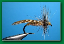 duck_caddis