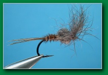 snowshoe_bubble_emerger_grey