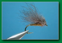 snowshoe_caddis