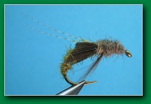 caddis_pupa