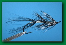 white_black_shrimp